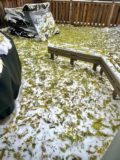Backyard deck covered with a mix of snow and fallen leaves from nearby tree