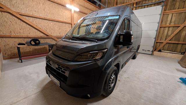 Hugo in der Halle von vorne links fotografiert.