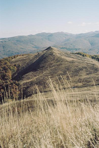 A grassy hill with groups of trees visible on the left and right, with blurred grass in the foreground.