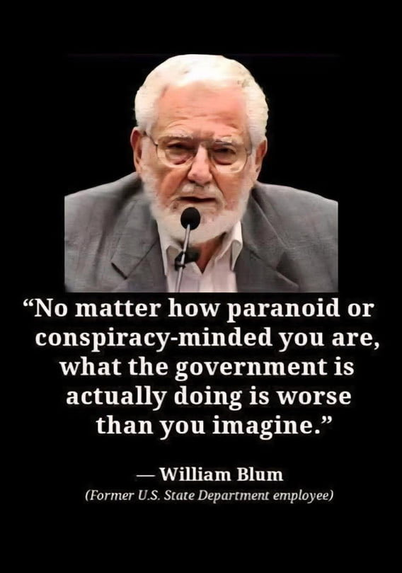 The image shows a quote attributed to William Blum, an American author and critic of US foreign policy. The quote reads: "No matter how paranoid or conspiratorial you are, what the government is actually doing is worse than you can imagine." The quote states that Blum was a former employee of the US State Department.