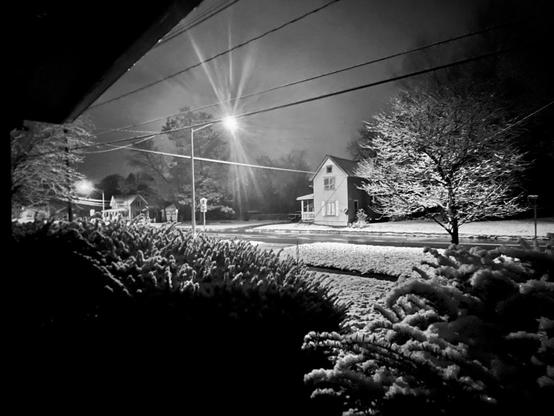 A monochromatic winter night scene viewed from beneath a darkened overhang. Snow blankets the ground, vegetation, and tree branches throughout the residential street. In the foreground, rounded shrubs appear heavily frosted with thick white layers. A street lamp left of center creates a bright starburst, illuminating the snow-covered pavement below. On the right, a two-story house with two dark upper windows stands beside a mature tree completely outlined in white frost. Power lines cross horizontally through the frame, and additional houses appear in the background among snow-covered evergreens.