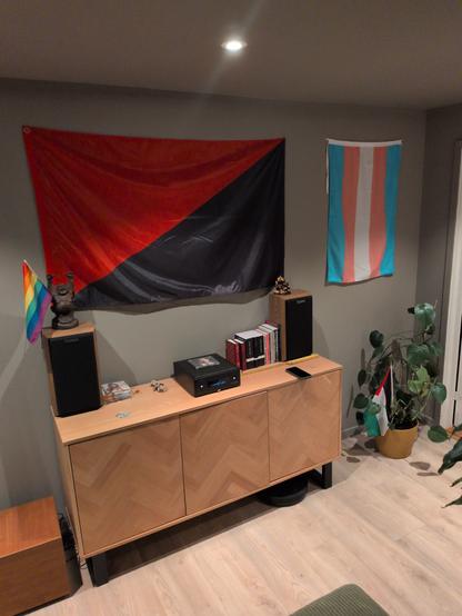Living room wall with two flags: a red-and-black diagonal anarchist flag on the left and the pink, blue, and white transgender pride flag on the right. Below them is a light-wood cabinet with speakers, books, and a music player on top, and a plant with large leaves on the right.