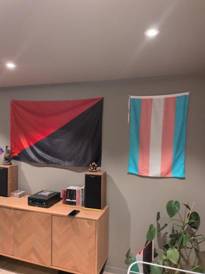 Same living room setup from a wider angle. Red-and-black anarchist flag and transgender pride flag hang above a wooden cabinet with speakers, books, and a music player. A small rainbow flag sits on the left speaker, and a potted plant with another small flag stands on the right.