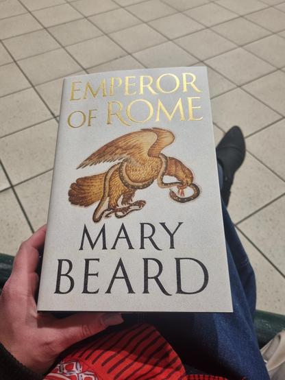 Mary Beard book