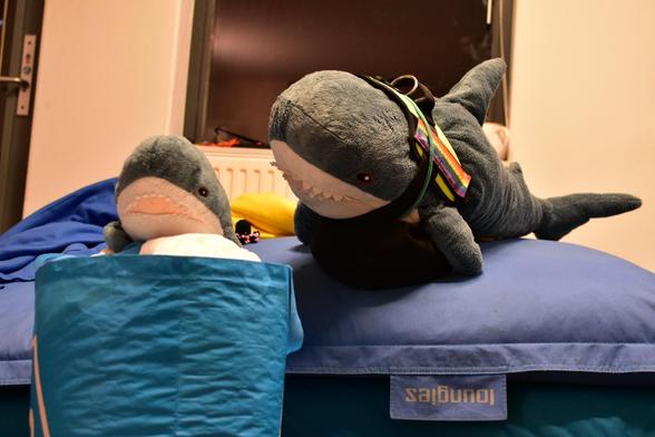 A Smolhaj cuddly shark cramming white fluffy stuff in a blue big shopping bag. A Blåhaj cuddly shark looks at it from the side, while a small black crocheted octopus with colourful bead tentacles watches from the back. The Blåhaj wears a haj-vis harness with rainbow patches and a key cord with a Dutch OV-chipkaart on it.

Hopefully many more plushies will add their cuddles too!