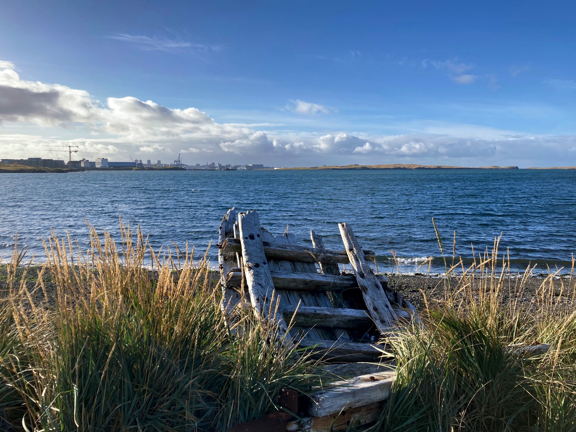 A small part of a wooden boat on the shore surrounded by tall grass.