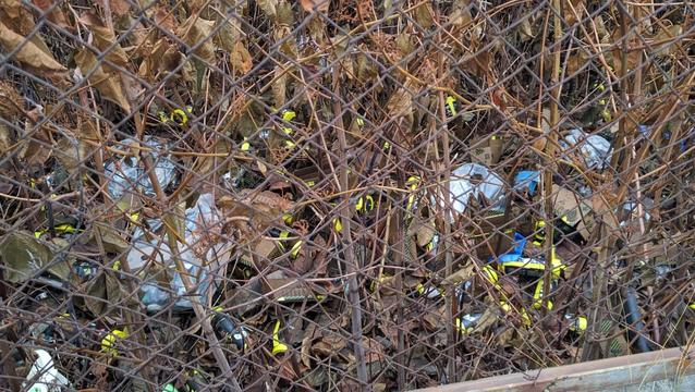 Store mengder lystgassbeholdere neddi et buskass