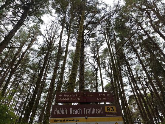 The top of a trailhead sign: Hobbit Beach Trailhead. Top of the frame is tall trees stretching skyward.