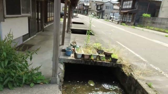 新潟県加茂市若宮町１丁目 / 25-0622