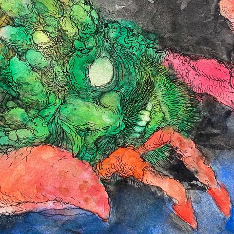 Detalle de la ilustración en acuarela de una criatura la cabeza y las patas