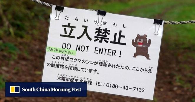 Hongkongers urged to secure travel insurance as bear attacks rise in Japan