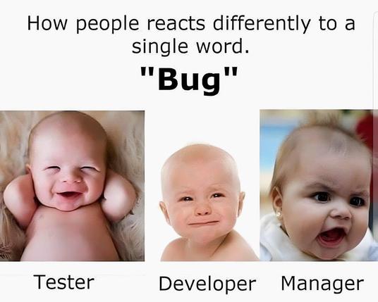 How people reacts differently to a
single word "Bug".
