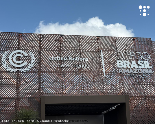 Fassade mit Gittermuster und weißen Schriftzügen: 'United Nations Climate Change' und 'COP30 Brasil Amazonia Belem 2025'.