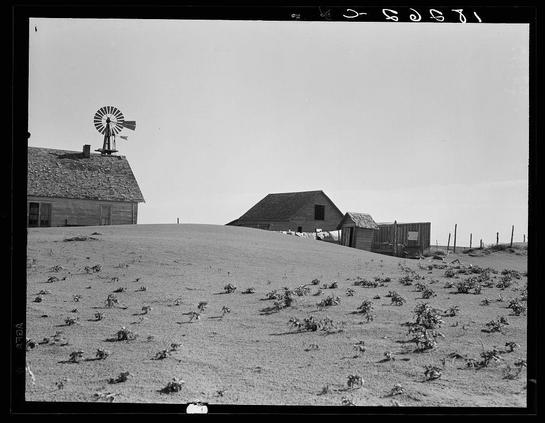 The image depicts a desolate rural landscape, likely during the Dust Bowl era. A windmill stands atop a small hill with its blades still and motionless against an overcast sky. In front of this structure is another building with visible signs of wear or abandonment, including a roof that appears to have lost some shingles.

On either side of these main structures are smaller outbuildings: one on the left looks like a storage shed, while there's no clear depiction from my view due to perspective. The ground in front of and around the buildings is barren with sparse vegetation - primarily scrub or dry grass suggesting drought conditions typical during such historical events.

The terrain slopes gently upwards towards what appears to be a higher point off-frame on the right side of this image, indicating that it may have been used for agricultural purposes previously but has since become less productive. The absence of active cultivation and livestock in these areas is notable, reinforcing an impression of abandonment or distress due to environmental factors such as drought.

In summary, the photo captures a sense of desolation and abandonment common during times like the Dust Bowl crisis with visual elements pointing towards hardship faced by rural agricultural communities at that time - particularly those reliant on weather-dependent crops.