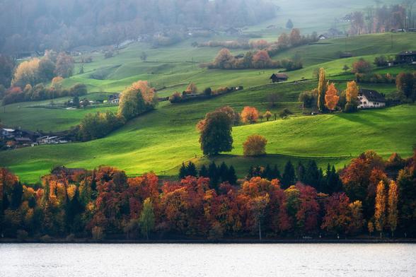 Eine farbenprächtige Herbstlandschaft mit sanft geschwungenen, grünen Hügeln, die von einzelnen Bäumen in leuchtenden Orange-, Rot- und Gelbtönen gesäumt sind. Im Vordergrund liegt ein ruhiger See, dessen Oberfläche das Licht sanft reflektiert. Verstreut liegen kleine Häuser und Gehöfte in der idyllischen Landschaft, die von einem leichten Morgennebel umhüllt ist.