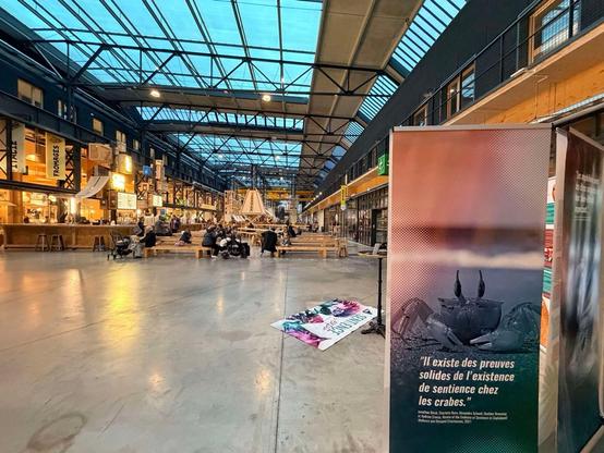 Photo montrant l'expo implantée à la Communale.