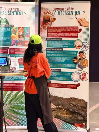 Photo montrant l'expo implantée à la Communale. Une personne est, de dos, en train de la regarder.