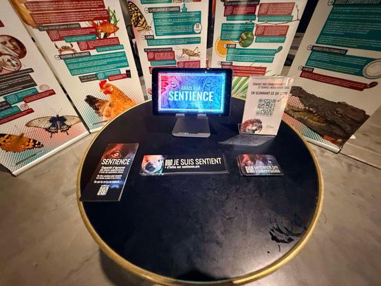 Photo montrant l'expo implantée à la Communale. On voit une table avec des autocollants et une vidéo.