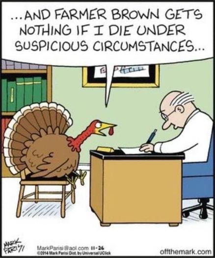 One panel comic with a turkey, sitting in a chair in a lawyer's office. The lawyer is busily writing things down on paper. The turkey angrily says, "...And Farmer Brown gets nothing if I die under suspicious circumstances."
