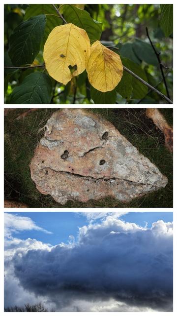 This collage showcases examples of pareidolia—the phenomenon where people perceive familiar shapes, particularly faces, in everyday objects.
- Top Image: Two yellowing leaves hanging from a branch with green leaves. One leaf has two dark spots or holes and a heart-shaped hole and resembles a cute happy face.
- Middle Image: A weathered, triangular stone with natural holes and markings that give the appearance of a grumpy face with eyes and a mouth.
- Bottom Image: A dramatic sky filled with dense, billowing clouds. The cloud formations create the illusion of a brooding dragon' head, facing to the left.