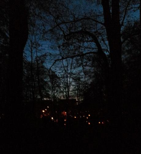 Ein Park in der Dämmerung.
Kinder und Erwachsene stehen im Kreis unter Bäumen und halten Laternen.