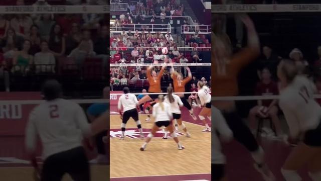 #volleyball  #fyp #waitforit #womensvolleyball