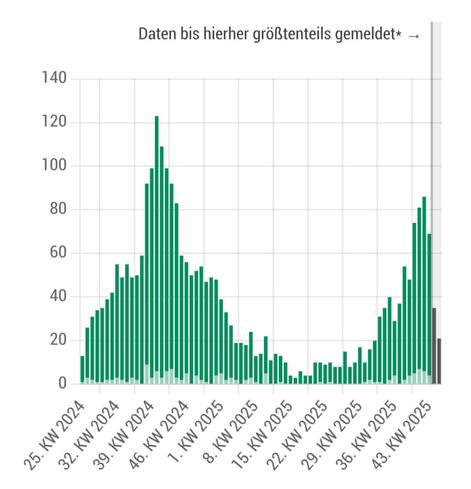 Hospitalisierungen wegen COVID in Wien von der Kalenderwoche 25 in 2024 bis zur KW 45 in 2025. Es zeigt sich eine breite Welle im Vorjahr mit einer Spitze vor genau einem Jahr und nach einem Absinken auf fast Null im Frühsommer 2025 ein stetiger Anstieg bis vor 3 Wochen, der aber weder die Breite noch die Spitze von vor einem Jahr erreicht.