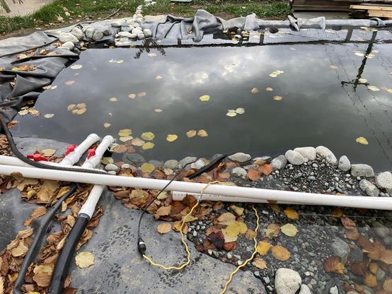 yesterday afternoon before I put the pump in the pond it was full to the brim with plenty of leaves floating on the surface.