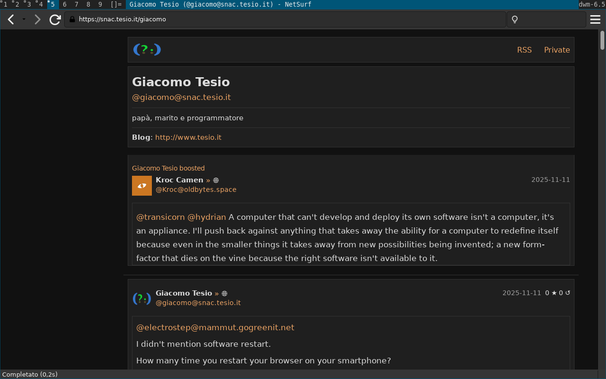 Screenshot of Netsurf browser showing Snac2 (within dwm, on a Debian GNU/Linux)