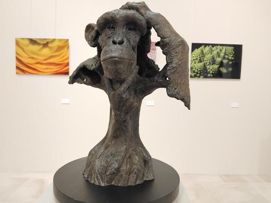 Au premier plan, sculpture représentant un portrait de chimpanzé se grattant la tête de la main gauche avec une main droite humaine qui le tient le menton. C'est un arbre qui porte le portrait et les deux mains. En arrière plan à droite une photo en gros plan de chou romanesco et sur la gauche un gros plan sur des pétales de fleur jaune.