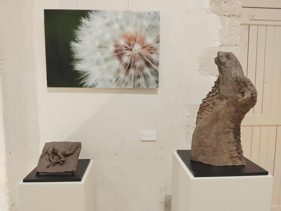 Au premier plan, 2 sculpture de chameaux (Une tête dressée vers le ciel et un bas-relief de chameau couché dans le sable). En arrière plan une photo de pissenlit dont les graines sont prêtes à s'envoler.