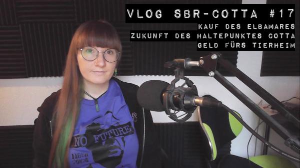 Thumbnail des Videos, ich, rotbraune Ponyfrisur mit grünem Undercolor, große runde Brille, an einem Schreibtisch. Außerdem ist zu lesen: Vlog SBR-Cotta #17, Kauf des Elbamares, Zukunft des Haltepunktes Cotta, Geld fürs Tierheim