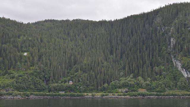 A photo of a steep hillside covered in conifer forest down to a shore. There are a couple houses on the hillside. The sky is overcast.