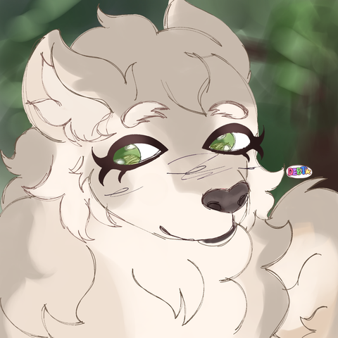 A bust drawing of a big gray wolf.