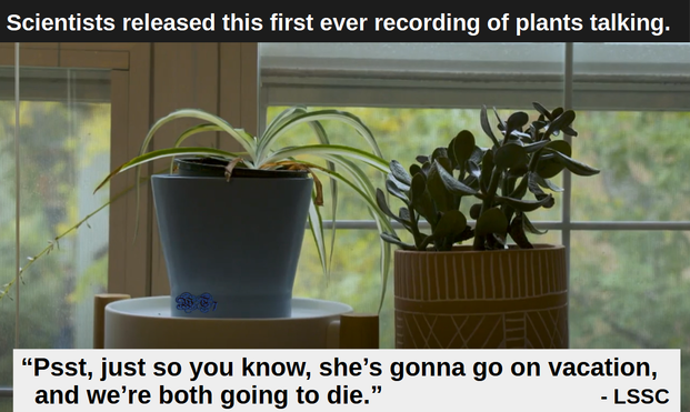 Scientists released this first ever recording of plants talking.

Image is of 2 potted plants next to each other.

“Psst, just so you know, she’s gonna go on vacation,
and we’re both going to die.” -LSSC