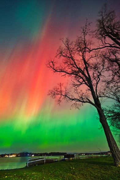 Striped bands of green and red aurora stretch vertically over a lakeshore framed by trees. The grass and water below appear still, contrasting with the vibrant, shifting sky above.