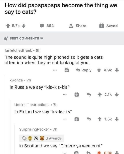 How did pspspspsps become the thing we say to cats? farfetchedfrank: The sound is quite high pitched so it gets a cats attention when they're not looking at you. kwonza : In Russia we say "kis-kis-kis" Unclearinstructions : In Finland we say "ks-ks-ks" SurprisingPecker : In Scotland we say "C'mere ya wee cunt"