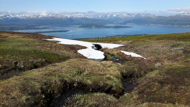 Näkymä Storsteineltä Håköyan suuntaan, edessä vihertynyttä kalliomaastoa lumilaikkuineen heinäkuun puolivälissä, mäen reunan alle jää Tromssan saari, sitten näkyy vuonon vettä, Håköya, ja taustalla vuoristoa ja taivasta.