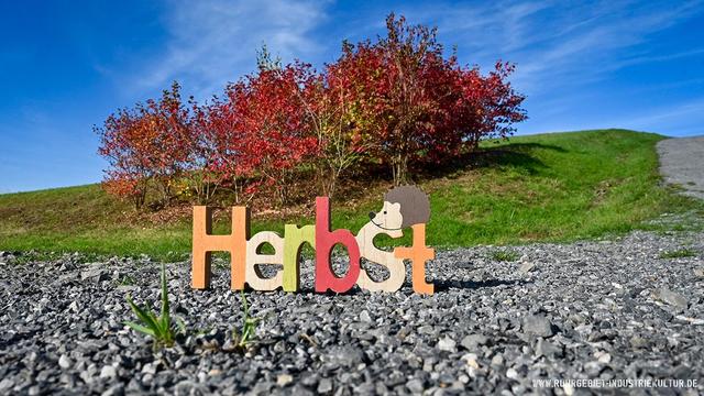 Bunter Holz-Schriftzug "Herbst" mit Igel-Figur auf einem Kiesweg. Im Hintergrund herbstlich rot gefärbte Bäume auf einer grünen Wiese unter blauem Himmel.