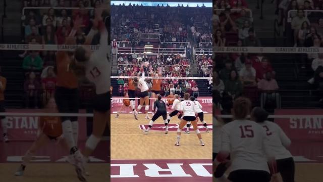 #volleyball  #fyp #waitforit #womensvolleyball