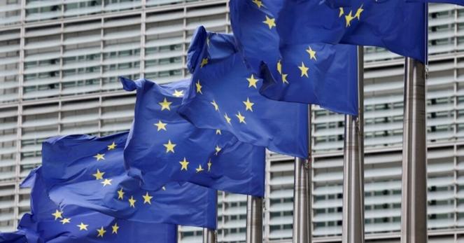 ＥＵ、森林破壊防止規則さらに1年延期を提案 | ロイター