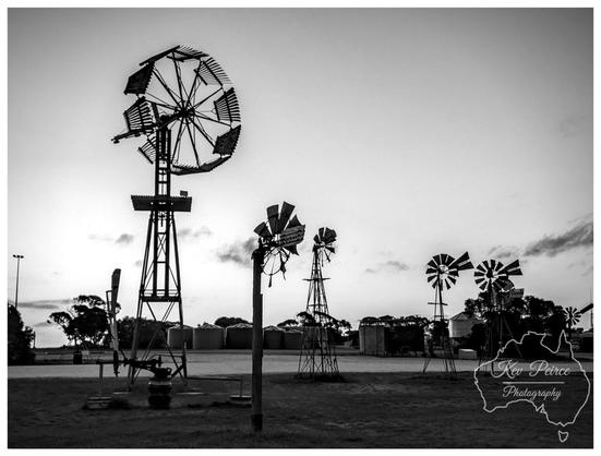 Black and white photograph showing a collection of historic windmills at Penong, South Australia.
A large, complex multi bladed windmill dominates the left side, standing tall over several smaller, traditional farm windmills and towers.
In the mid-ground, a row of large cylindrical water tanks or silos is visible, and the sky is bright with subtle clouds, giving the scene a dramatic, high contrast, silhouetted look.