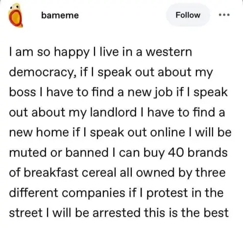 “I am so happy I live in a western democracy, if I speak out about my boss I have to find a new job if I speak out about my landlord I have to find a new home if I speak out online I will be muted or banned I can buy 40 brands of breakfast cereal all owned by three different companies if I protest in the street I will be arrested this is the best”