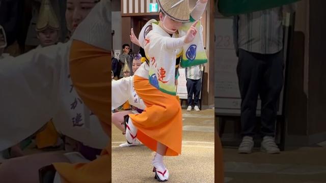 【阿波踊り2025|みたか連】凄い！艶やかで美しい演舞がかっこいい！【徳島県POP UPイベント・両国-江戸NOREN】 #shorts