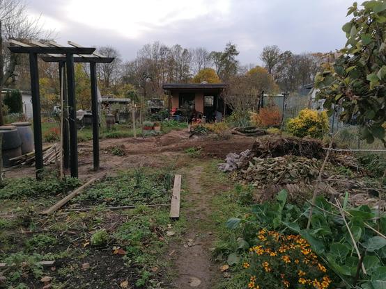 Das Rosenspalier in Sanierung, rechts eins der provisorischen Gemüsebeete (wo was frei wurde, säte oder pflanzte ich nach Möglichkeit Gemüse) und zwei Haufen Steine und Wurzeln von entfernten Neophyten