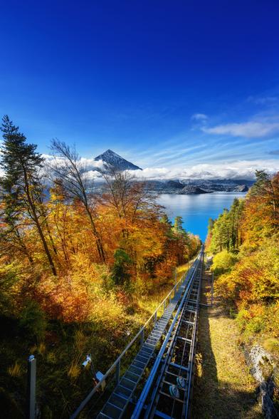 Eine Steilaufnahme zeigt eine dünne, stählerne Standseilbahn, die sich vom Vordergrund aus tief in einen Waldhang hinunter zum See erstreckt.

Der Wald entlang der Trasse leuchtet in intensiven Herbstfarben von Orange, Gelb und Rot. Im Vordergrund links und rechts wächst niedriges Gebüsch und Gras, beleuchtet von der Sonne.

Im Mittelgrund öffnet sich die Szene auf eine weite Seelandschaft mit tiefblauem Wasser, umrahmt von Wäldern.

Im Hintergrund dominiert ein markanter, pyramidenförmiger Berg die Szene. Sein Gipfel ist klar zu sehen, während der untere Teil von einer Wolken- oder Nebelbank eingehüllt ist.

Der Himmel ist ein strahlendes, tiefes Blau mit einigen dünnen, weissen Wolkenstreifen über der Bergkulisse.