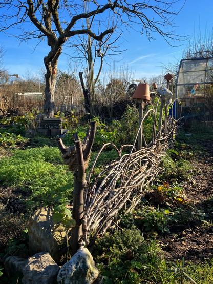 Ein Flechtzaun zwischen Apfelbaum und Gewächshaus.