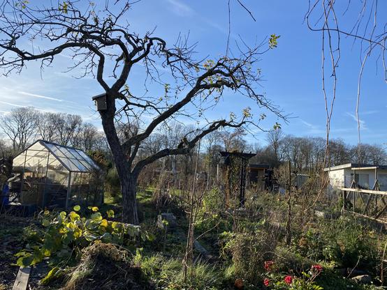 Der Garten atmete auf.