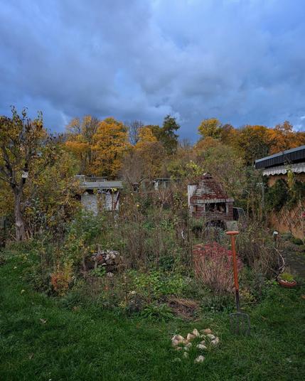 Ein Wildstaudenbeet, wo früher eine Sandkuhle für einen Pool war. Darin steht auch ein Wildapfel.
