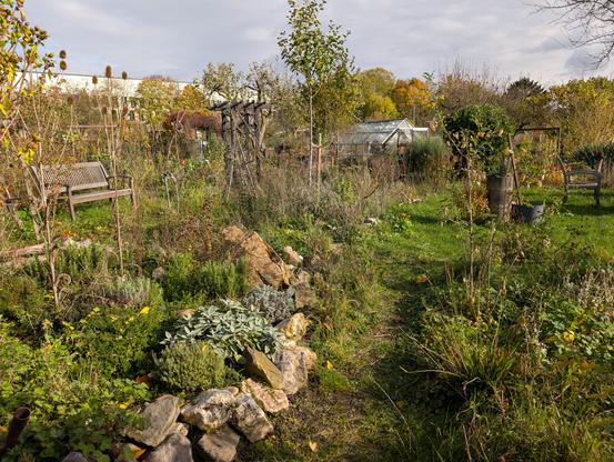 Blick Richtung Gewächshaus. Wo vorher Pflaster und ein Schottergartenstück waren, ist nun viel Grün.